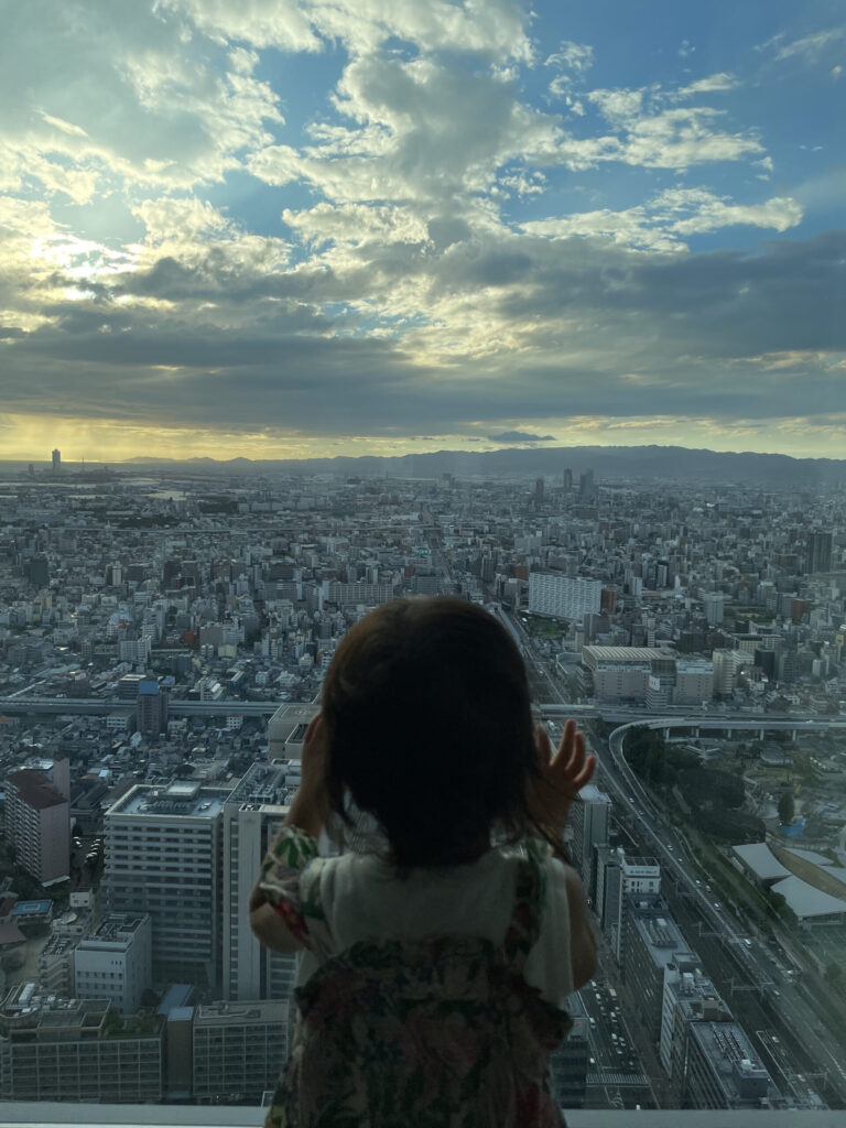 部屋からの景色